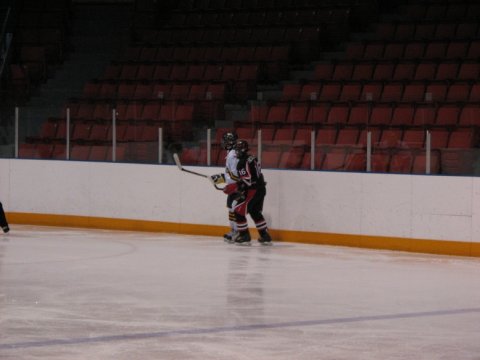 dartmouth ice dawgs